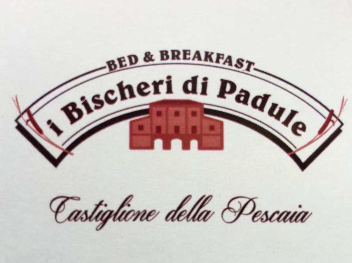 I Bischeri Di Padule B&B Кастильоне-делла-Пеская Экстерьер фото